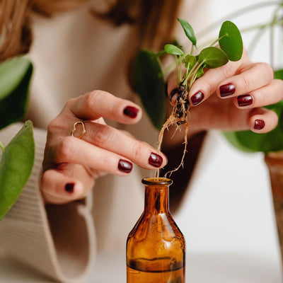 Essential Oils