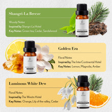 JCLOUD Hotel Collection Diffuser Oils Set | Top 6 Luxury Hotel Inspired Essential Oils for Diffuser for Home, Pure Aromatherapy Diffuser Oil Gift Set, Home Luxury & Hotel Scents for Diffuser - 6x10mL