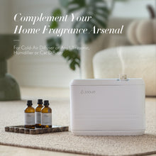 JCLOUD Paradise Essential Oil for Diffuser - Hotel Collection Diffuser Oil & Home Luxury Scents - Pure Aromatherapy Diffuser Oil with Cardamom, Jasmine and Hyacinth, Natural & Pet Safe - 100mL