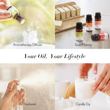 JCLOUD Summer Fragrance Oils Set | Hotel Collection Diffuser Oil & Home Luxury Scents - Gift Set of 6 Summer Essential Oil for Diffusers for Home, Fresh Citrus, Tropical Fruity & Clean Aquatic, 6x10mL