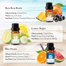 JCLOUD Summer Fragrance Oils Set | Hotel Collection Diffuser Oil & Home Luxury Scents - Gift Set of 6 Summer Essential Oil for Diffusers for Home, Fresh Citrus, Tropical Fruity & Clean Aquatic, 6x10mL