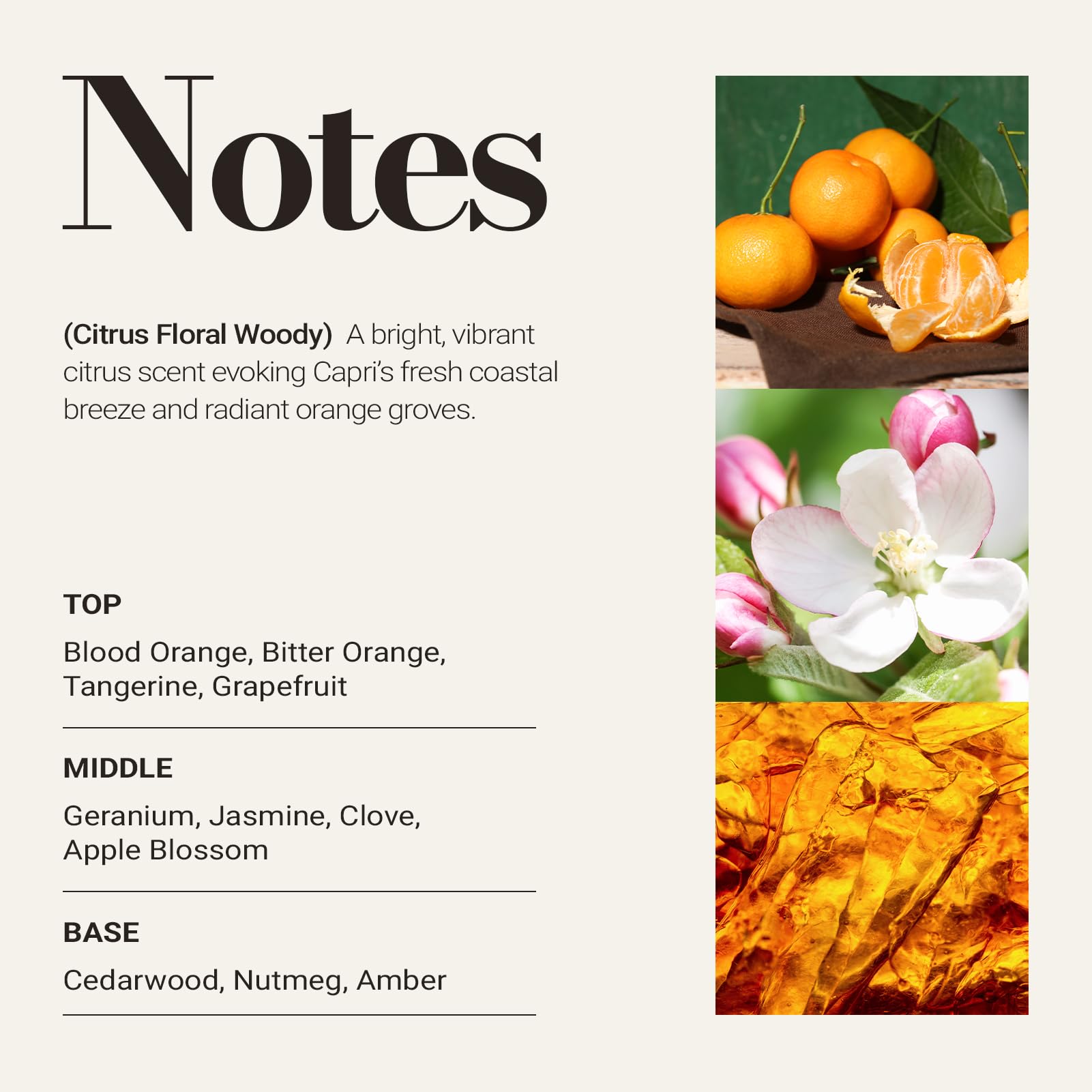 JCLOUD Capri Sunshine Hotel Diffuser Oil - Inspired by Italian 5 Star