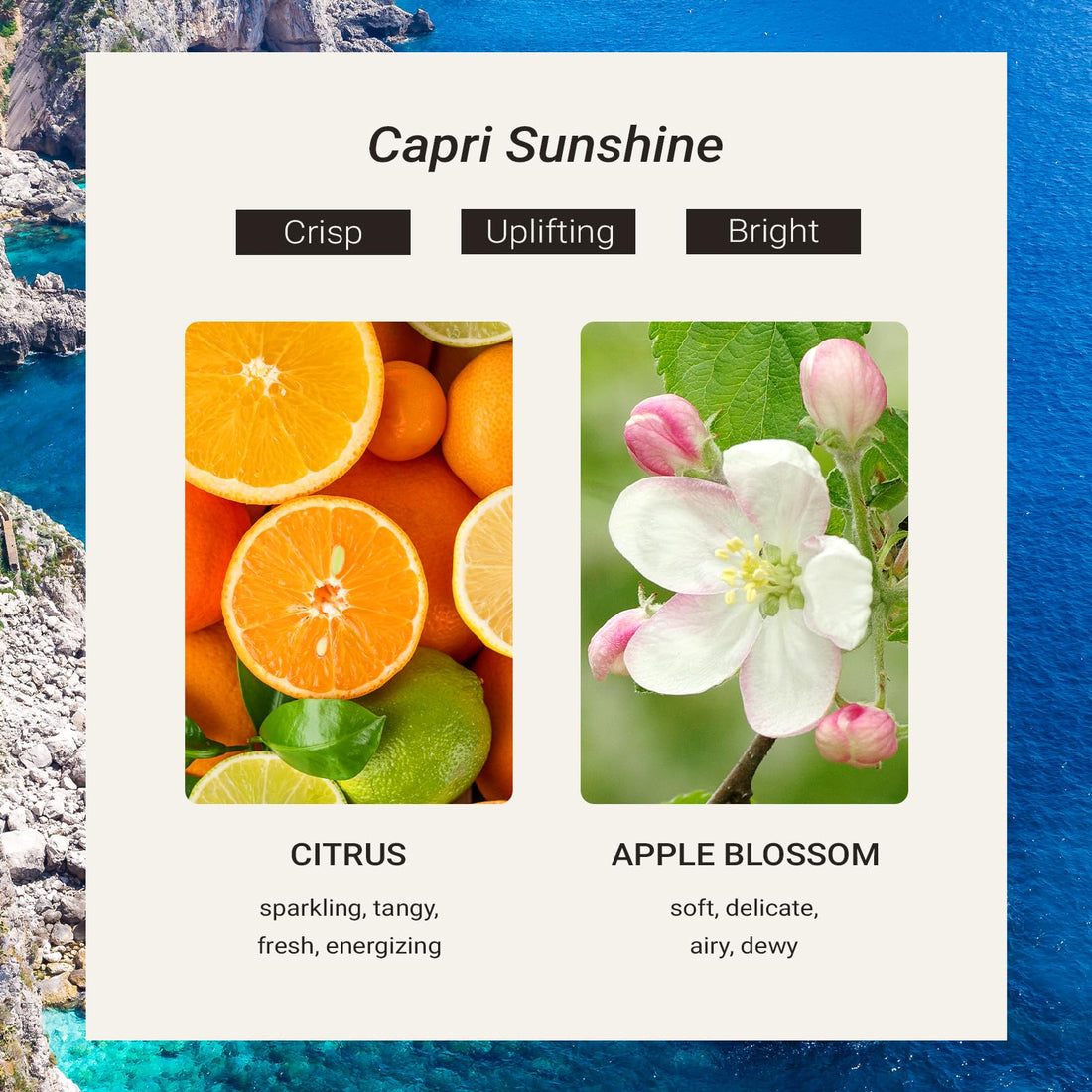 JCLOUD Capri Sunshine Hotel Diffuser Oil - Inspired by Italian 5 Star Resort - Orange, Apple Blossom & Amber - Hotel Essential Oil Luxury Long Lasting Aromatherapy Fragrance in Glass Bottle, 100mL