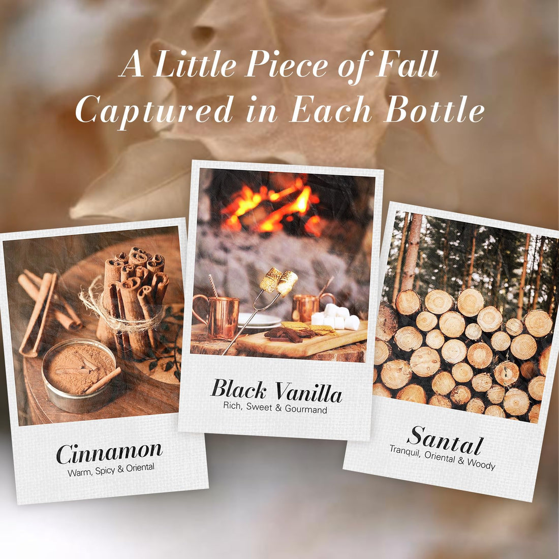 JCLOUD Fall Essential Oils for Diffusers for Home, Autumn Scented Fragrance Oils Gift Set, Incl. Black Vanilla, Cinnamon & Santal Aromatherapy Diffuser Oils - Spicy, Woody & Oriental Scents, 6 * 10mL