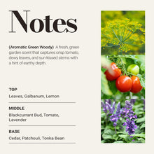 JCLOUD Tomato Leaves Hotel Diffuser Oil – Galbanum, Tomato & Patchouli - Hotel Essential Oil Luxury Long Lasting Aromatherapy Fragrance in Glass Bottle, 100mL